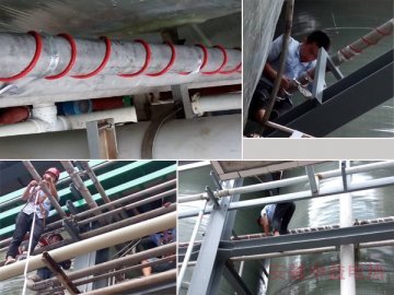 管道麻豆视频免费入口
